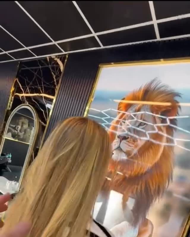 Lang, steil blond haar tijdens het stylen, met de leeuw op de achtergrond